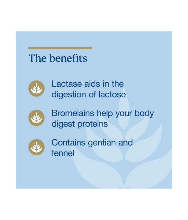 BioCeuticals MultiGest Enzymes, 90 capsules (Practitioner Only) ZOOM