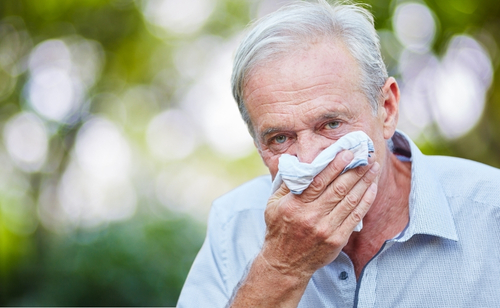 Hay Fever Medicines: Your Guide to Treatment Options in NZ